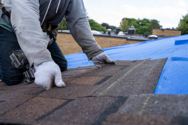 Best Slate Roofing Contractor  in Roanoke Rapids, NC