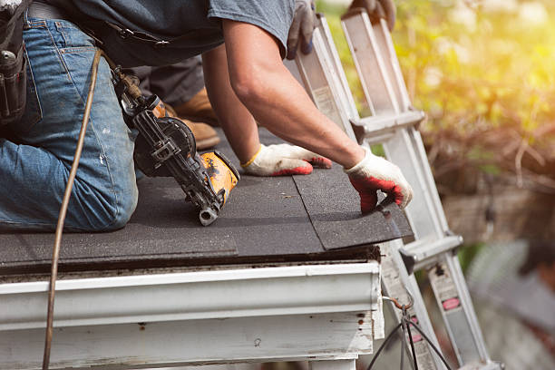 Best Roofing Contractor Near Me  in Roanoke Rapids, NC