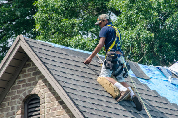 Best Shingle Roofing Installation  in Roanoke Rapids, NC