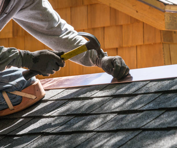 Best Roof Leak Repair  in Roanoke Rapids, NC
